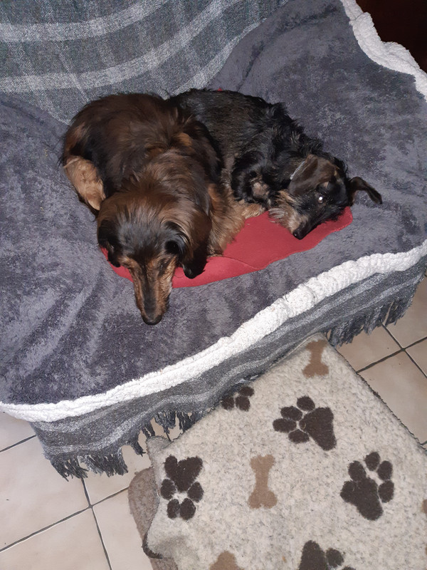 [Image: 20230531-131103.jpg]