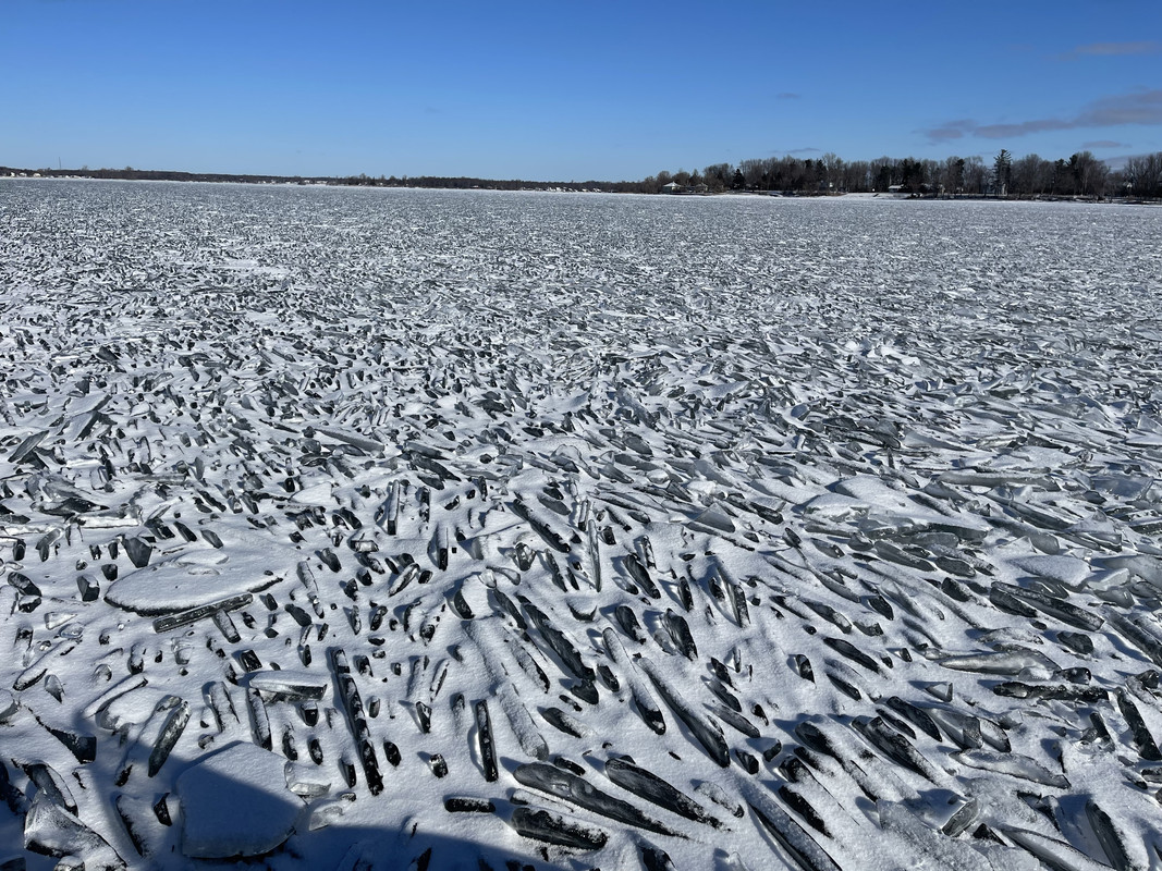 13660C8F-0BD6-496C-B750-B18BD8439BBA