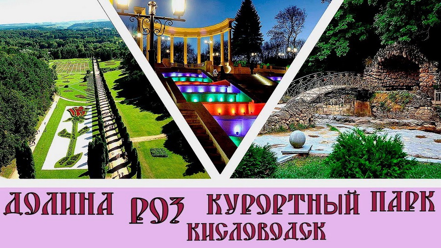 d-20