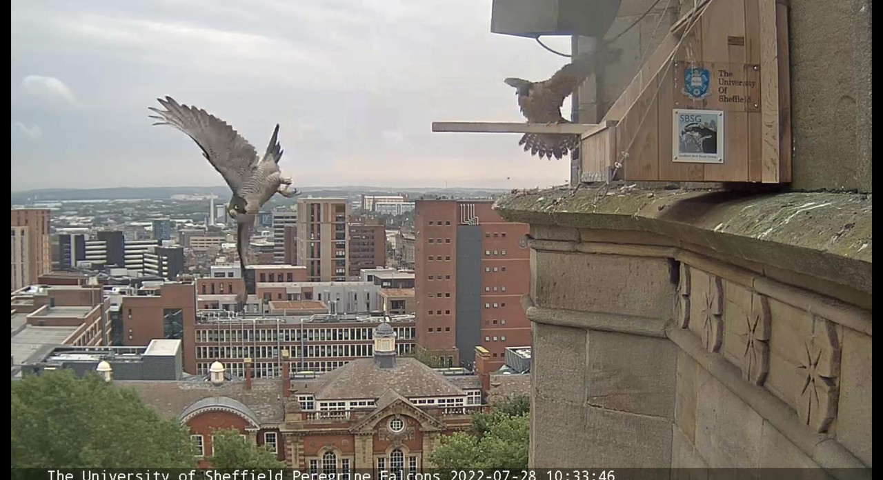 Sheffield/Yorkshire. - Pagina 4 Video-2022-07-28-124855-Moment-5