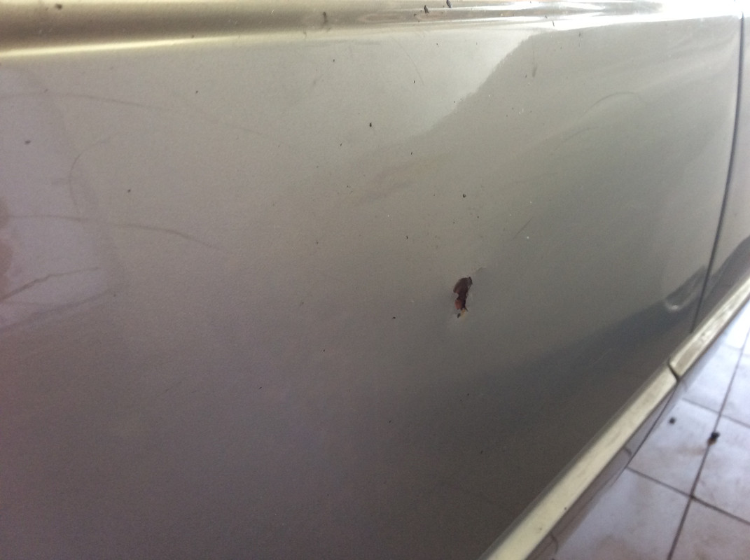 351A76EE-746C-4D19-9E39-F25D8469DA01