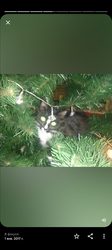 Screenshot_2023-05-27-18-42-25-811_com.google.android.apps.photos