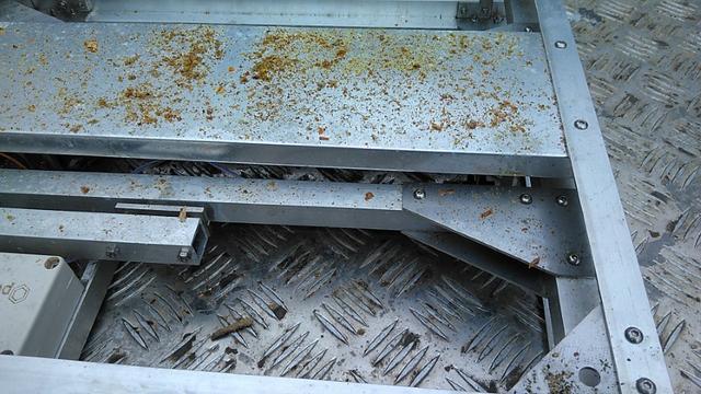 IMG_20181123_105124 (Petit)