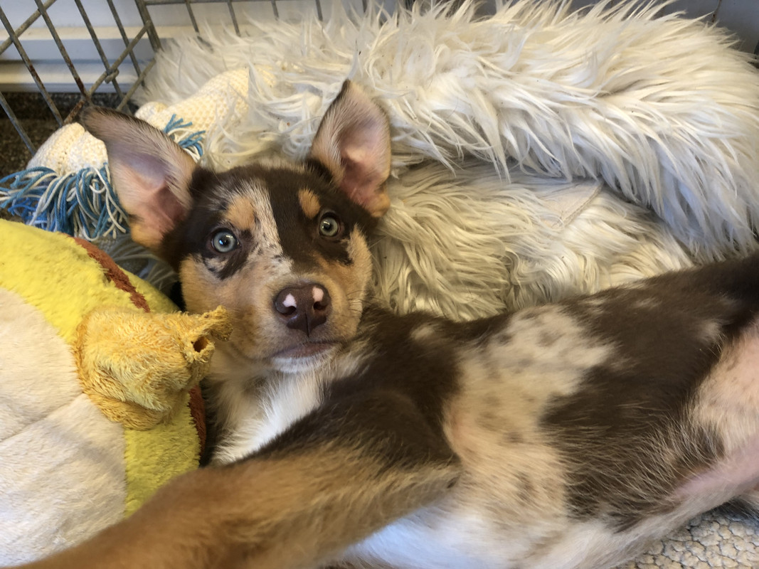 FAC60B69-02F9-4828-B309-71C885C0B3CC