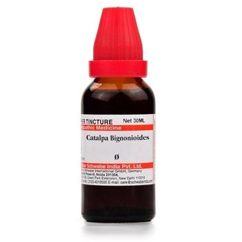 Willmar Schwabe India Catalpa Bignonioides 1X (Q) (30ml)