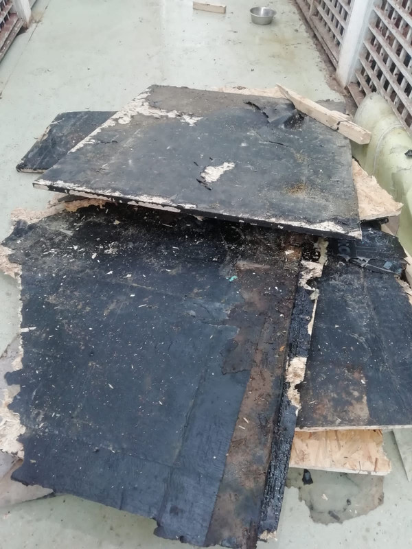 872D92AE-59B8-4908-AB1D-DA19E556B815