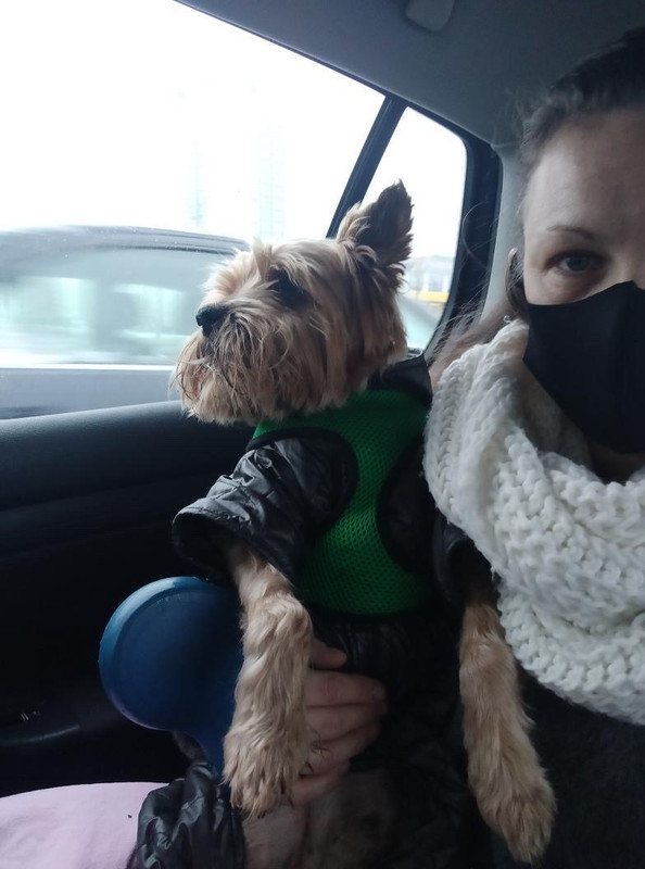 968EB347-7F36-4C54-8E18-B24B7B4C2AC3