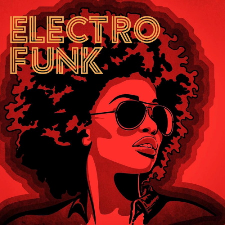 VA - Various Artists - Electro Funk (2020)