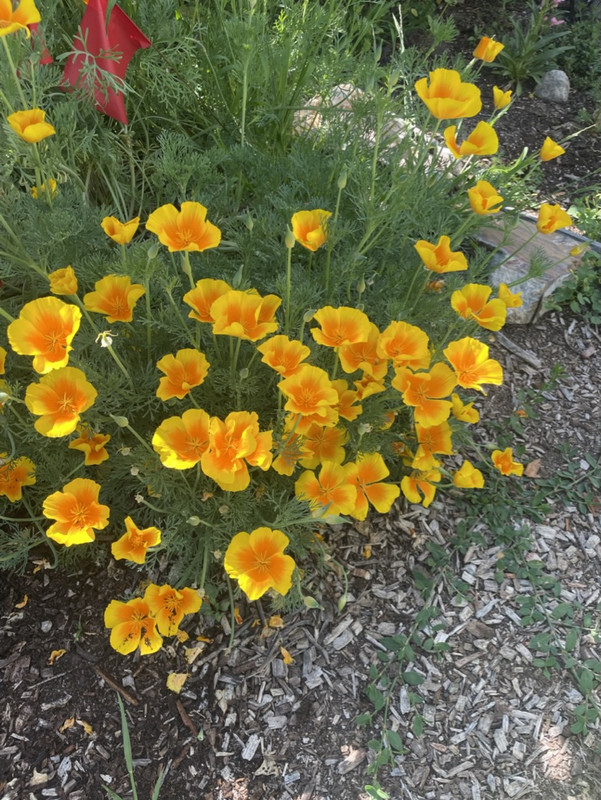 E8AE29D4-3F59-4540-B83A-5AA820DA7206_1_105_c