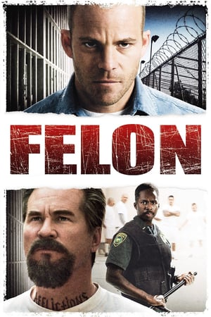 დამნაშავე / Felon / damnashave