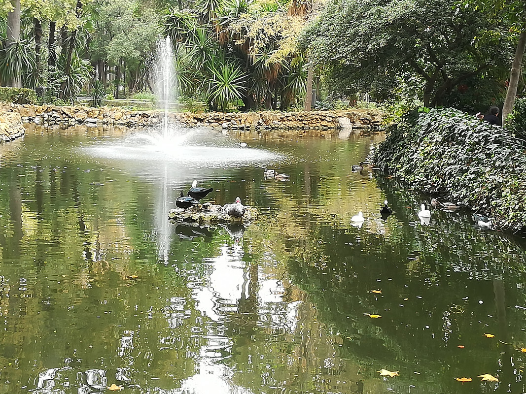 Sevilla, bajo la lluvia de otoño - Blogs de España - Día Cuatro: Plaza España, el parque de María Luisa y conclusiones. (13)