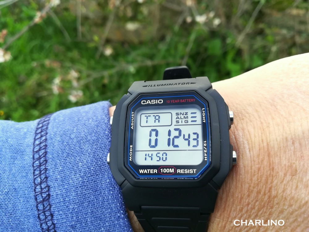 CASIO W 800H el Casio de la vieja escuela casi perfecto o le podemos quitar el casi Relojes Especiales EL foro de relojes