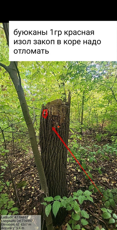 Screenshot_20251005_152959