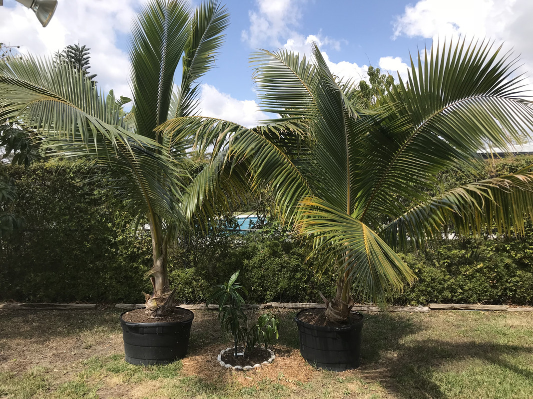 242137AE-0229-4435-8223-B7849FC7D595