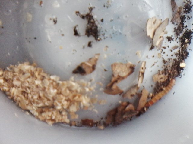 1125201918-00.jpg