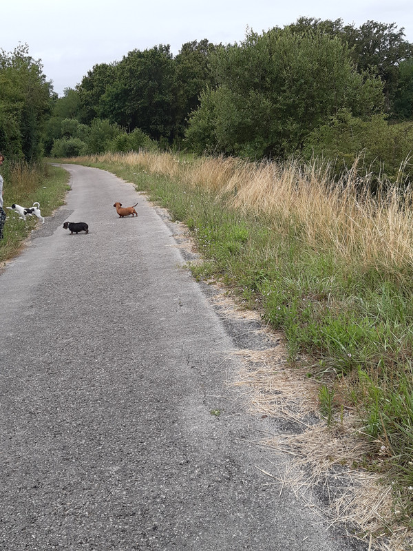 [Image: 20230701-082359.jpg]