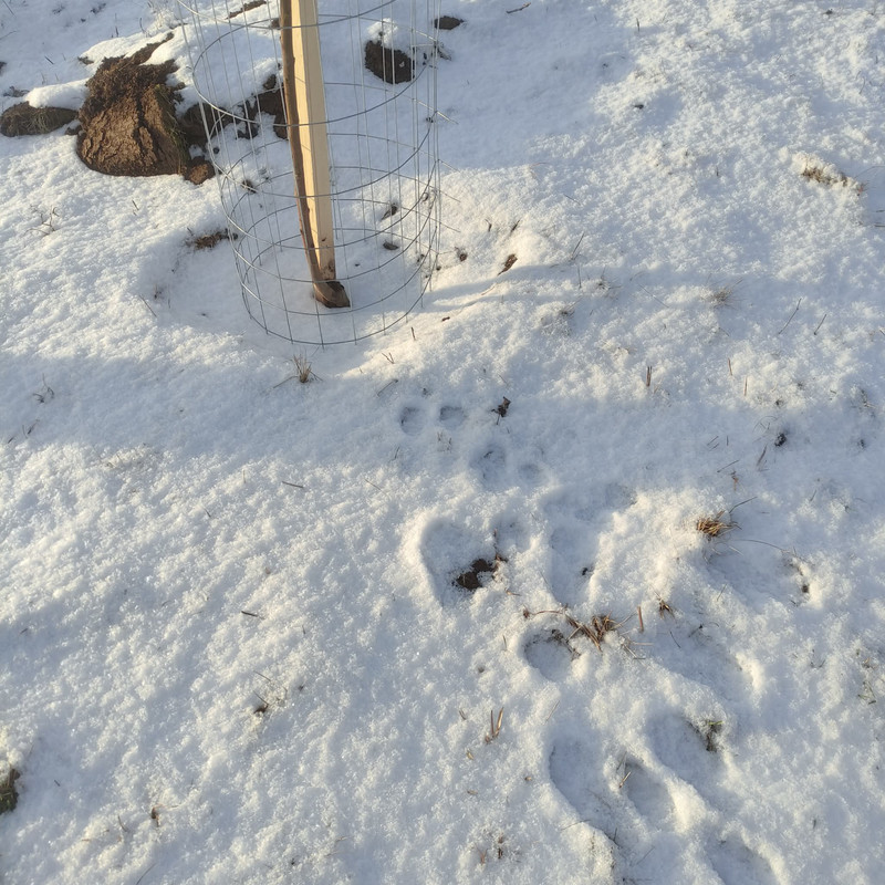 606392113 858314773568809 6626386961191004249 n