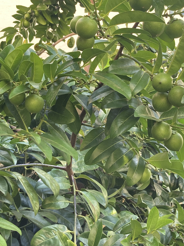 53863570-C346-4E39-BD3E-3A3714FCA5A3