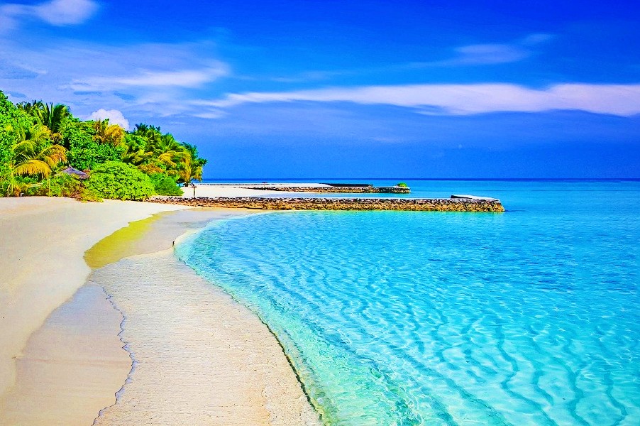 Exotic Andaman