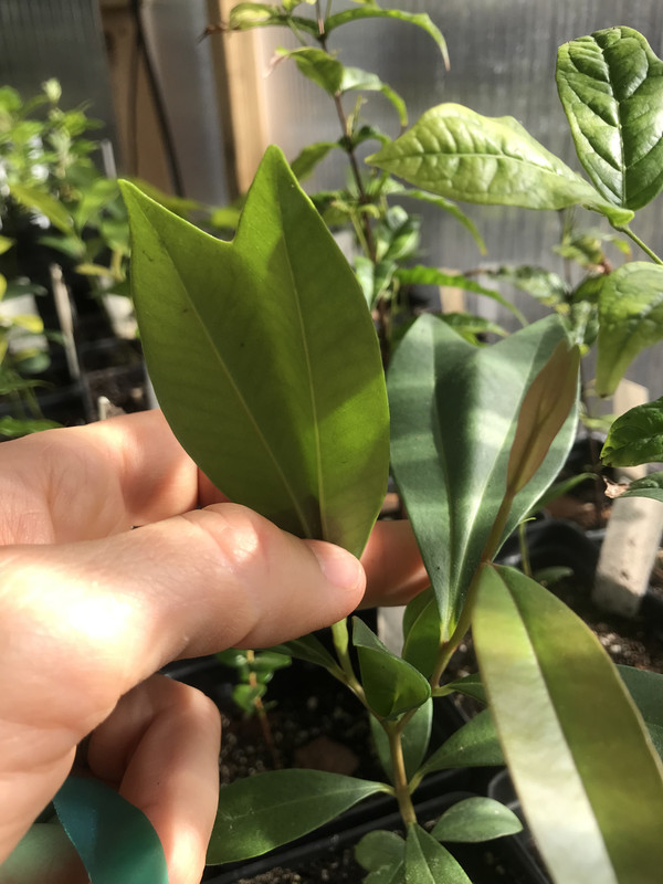 7EB749E9-912F-4F48-B4D7-B4BD3176CB95