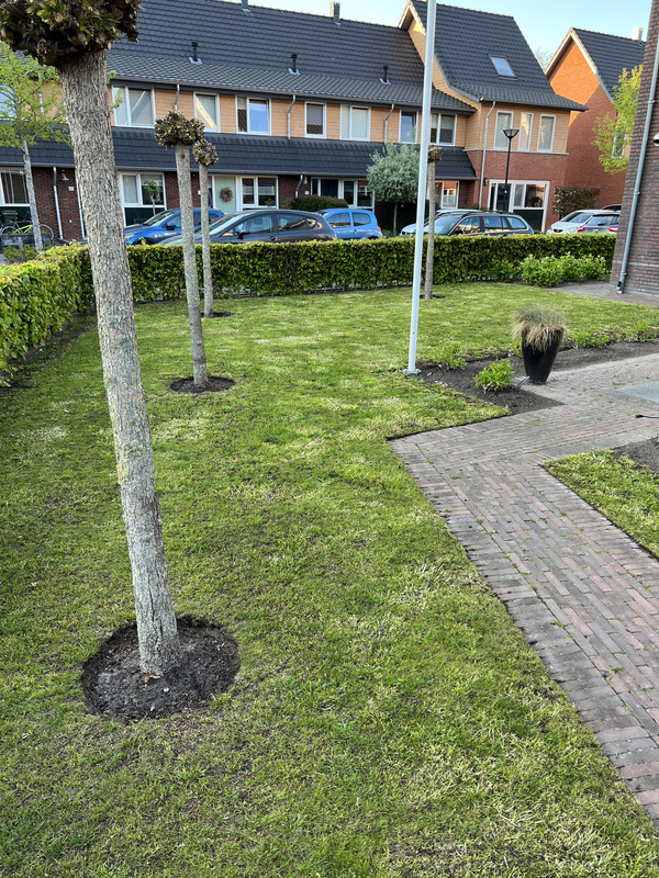 7232A100-14E9-4812-B96D-EC29258D12A5