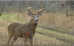 911728FC-E05D-4DD8-A599-EFAA71E809EF