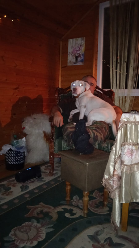 681645FE-07A3-4B5B-93F2-B7664C5B3213