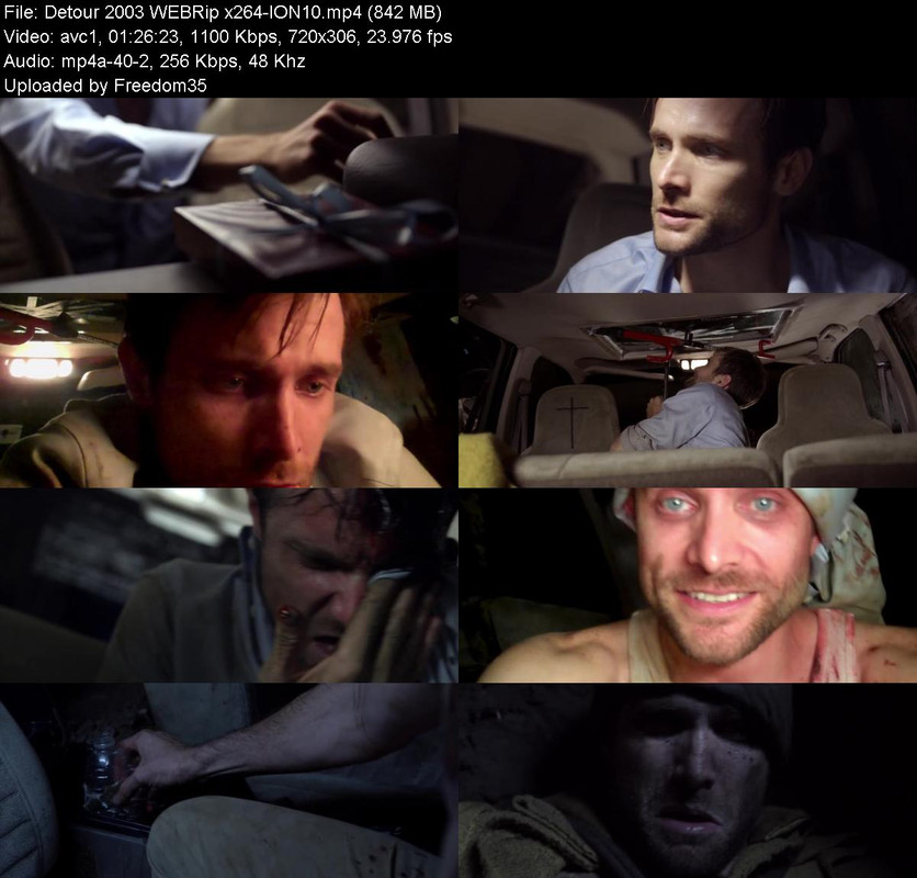 Detour-2003-WEBRip-x264-ION10.jpg