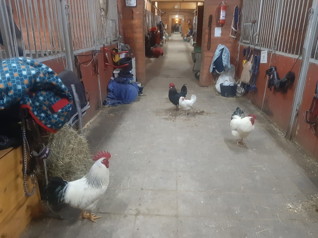 WhatsApp Image 2021-03-05 at 12.14.50 (2)