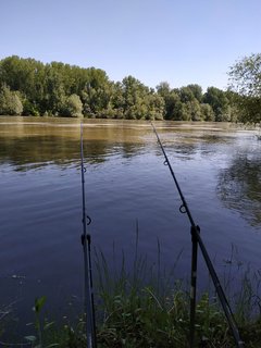 IMG_20210523_100642