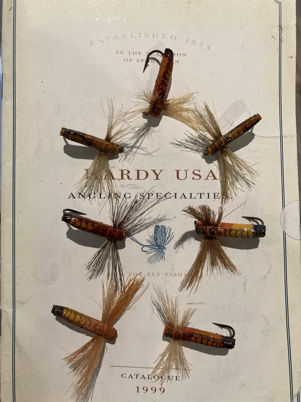 683047E4-B849-43F5-B80A-BA594BA10257