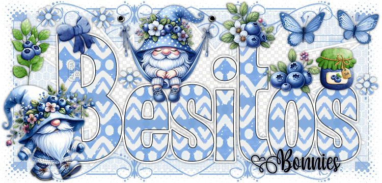 Besos Gnome Blueberry bonnies