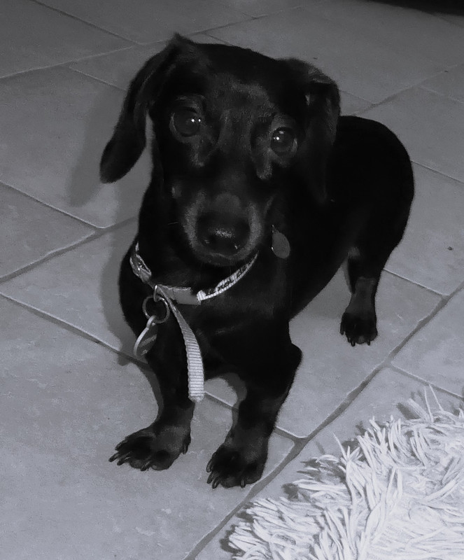 [Image: P1050487.jpg]