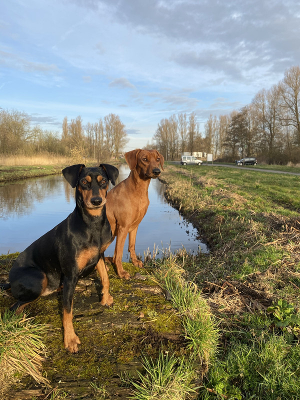 66FC6642-3540-4562-BC73-81E45FBC3B1F