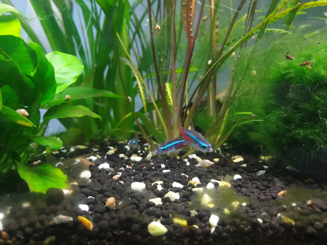 WhatsApp Image 2020-03-19 at 17.07.36 (3)