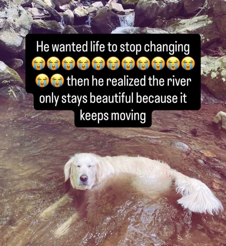 he wanted life to stpo changing :c then he realized the river only stays beautiful because it keeps moving
