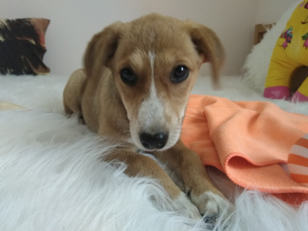 изображение_viber_2019-09-15_18-01-04