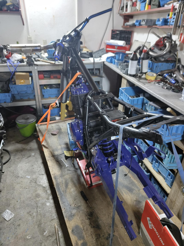 IMG 20251123 191123625