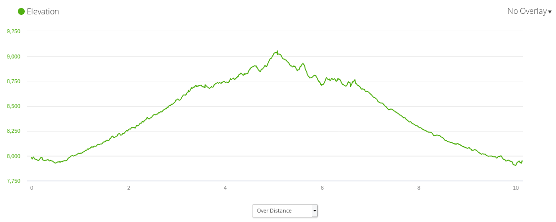 Garmin elevation