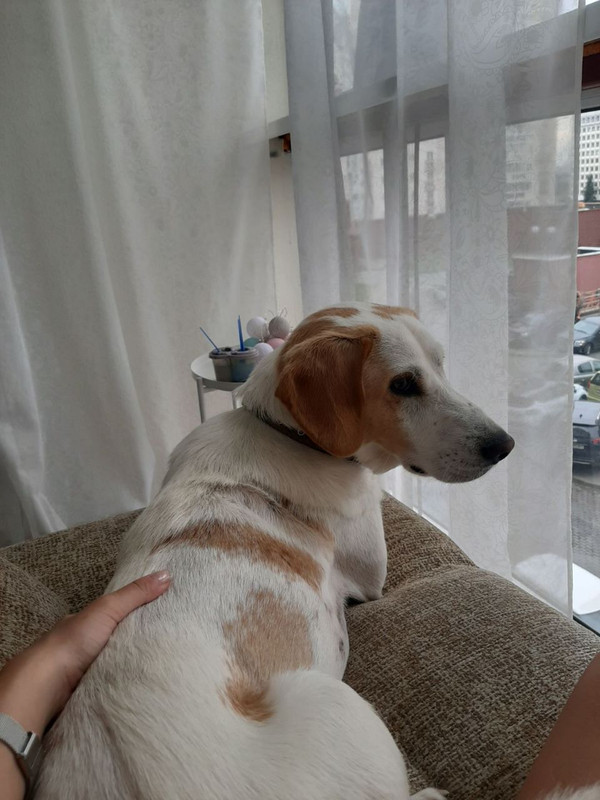 E2FBE4E1-5267-4D83-836F-DFC15ADEC760