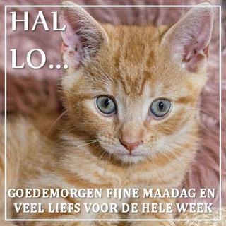 liefs-voor-deze-week.jpg