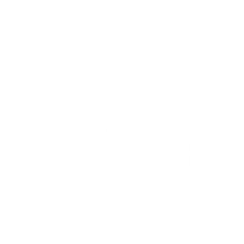 SDMZ BATTLE SERIES