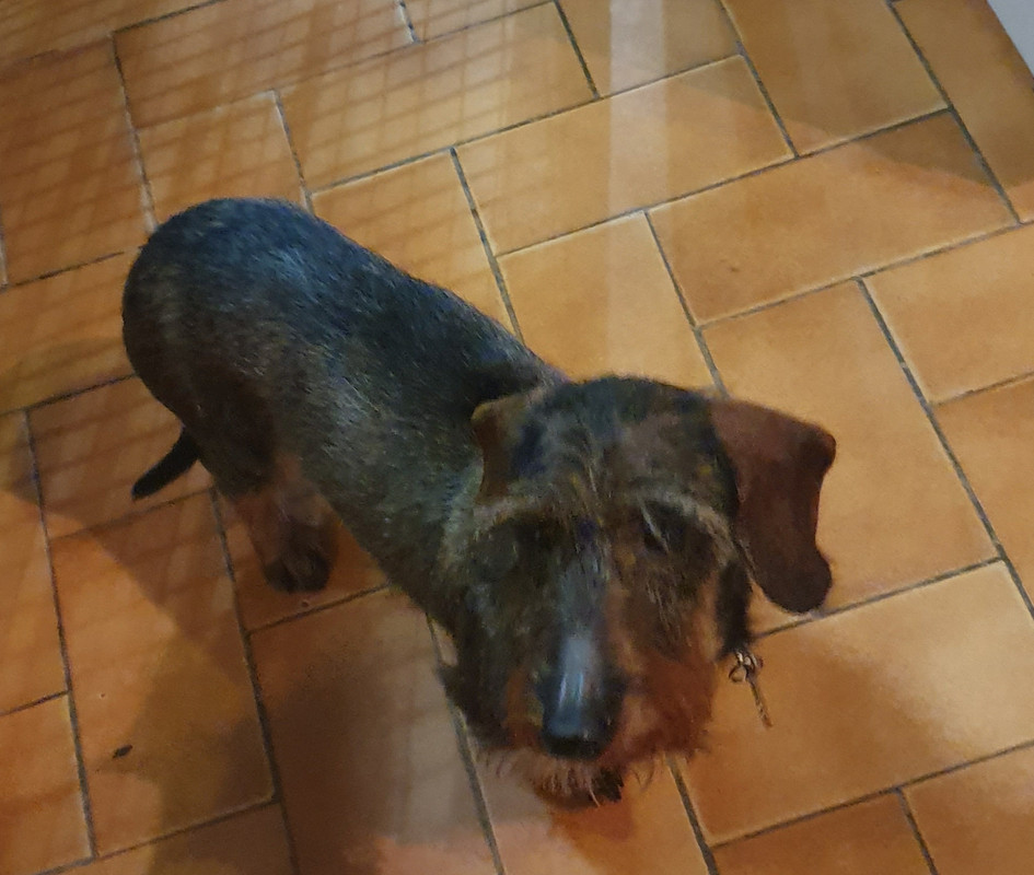 [Image: 20210205-201625.jpg]