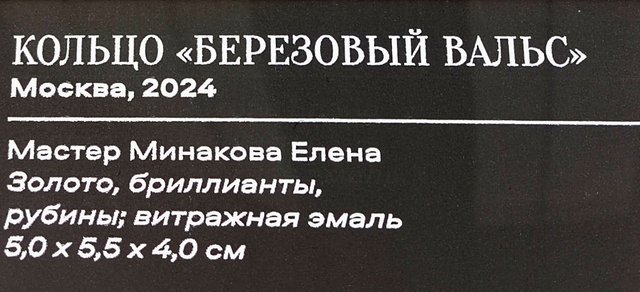 https://i.postimg.cc/MKmgjmKN/169-IMG-20241031-112425.jpg