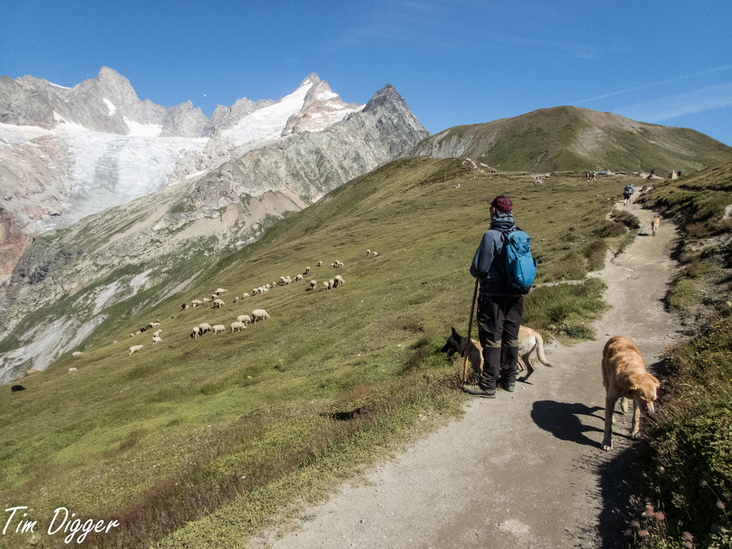 col de ferret (61 of 1)