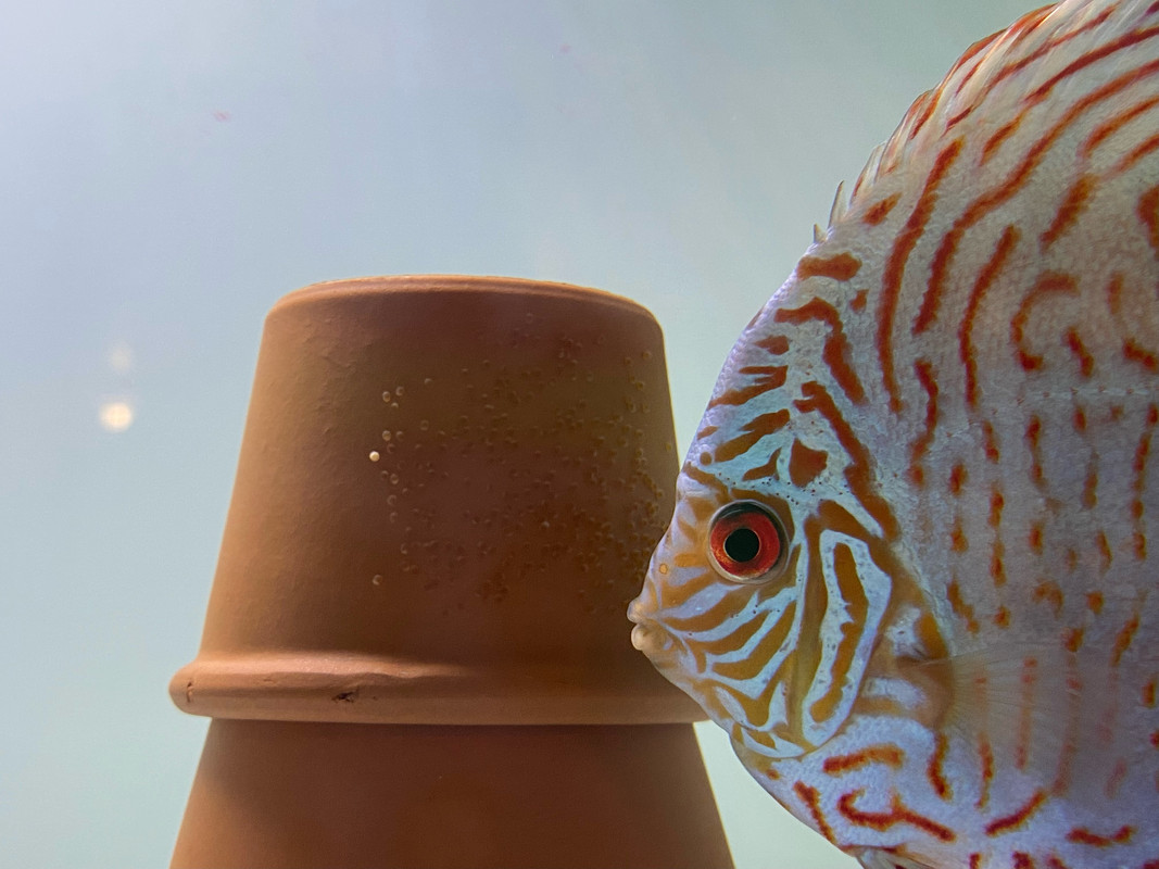 1549397C-FA9A-4386-BC37-0ACF80CC10B8