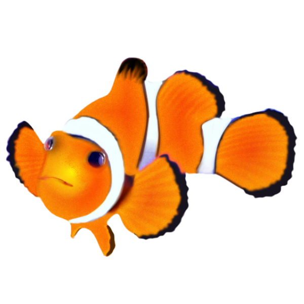 Nemo.png