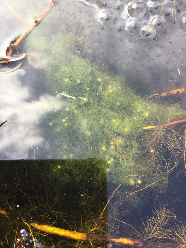 EEA6FDD1-D3B3-42FA-A32E-2E5E27356BAA