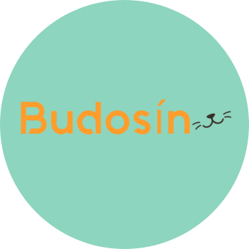 Logotipo Budosín