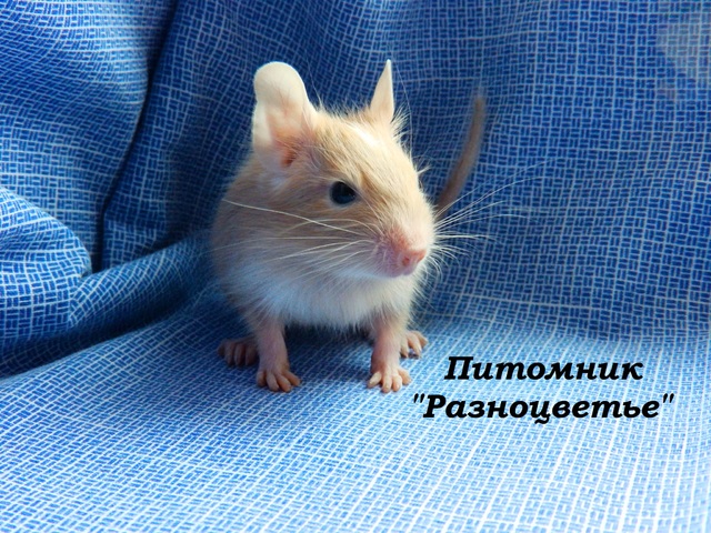 P2100005